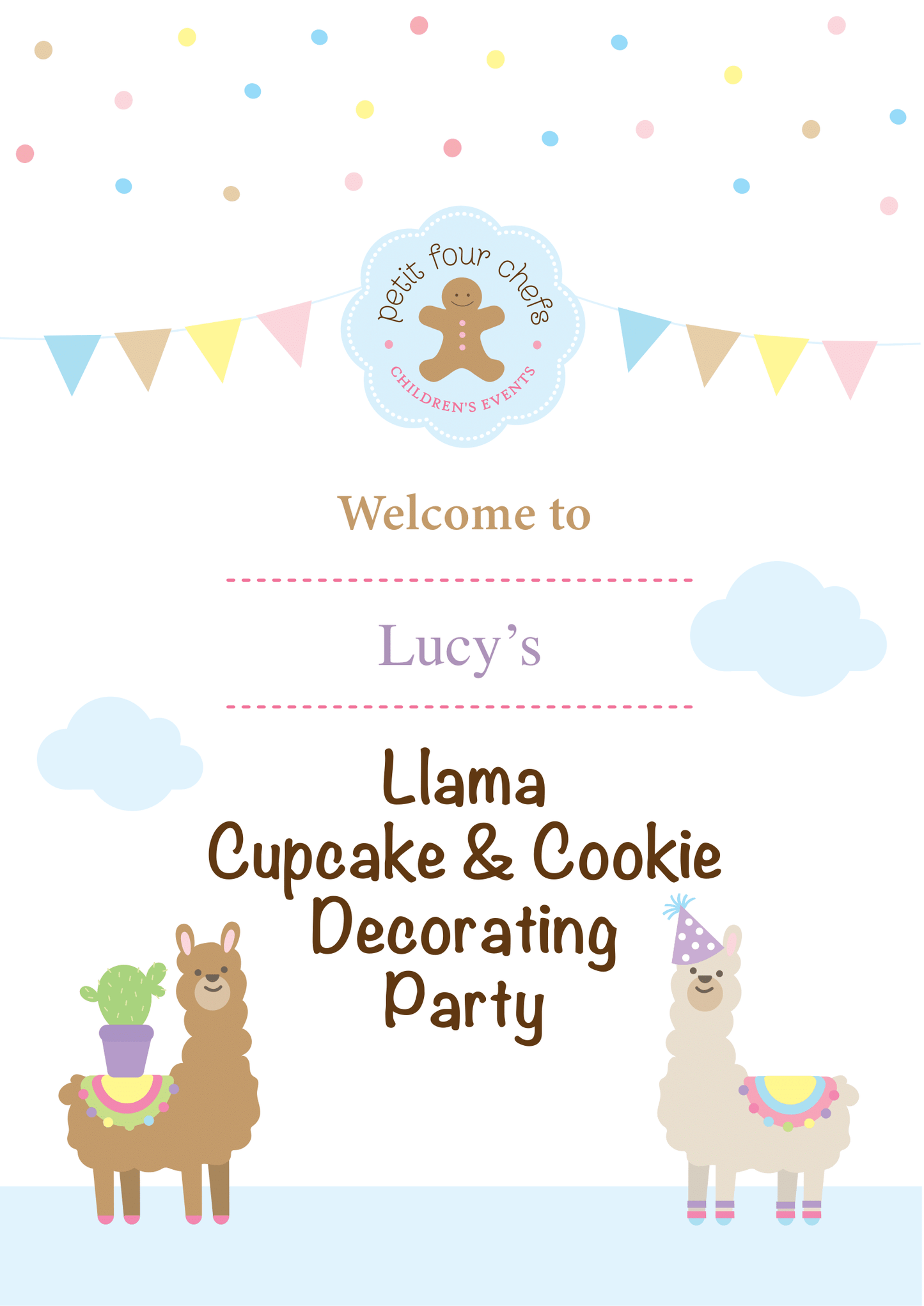 Llama  Bake & Decorate Party Box