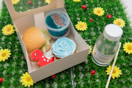 Picnic Box